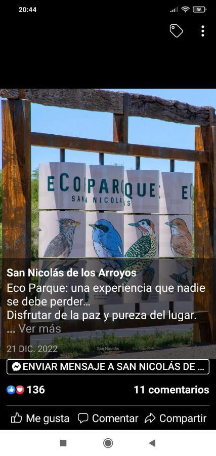 Anandi Planta Alta *